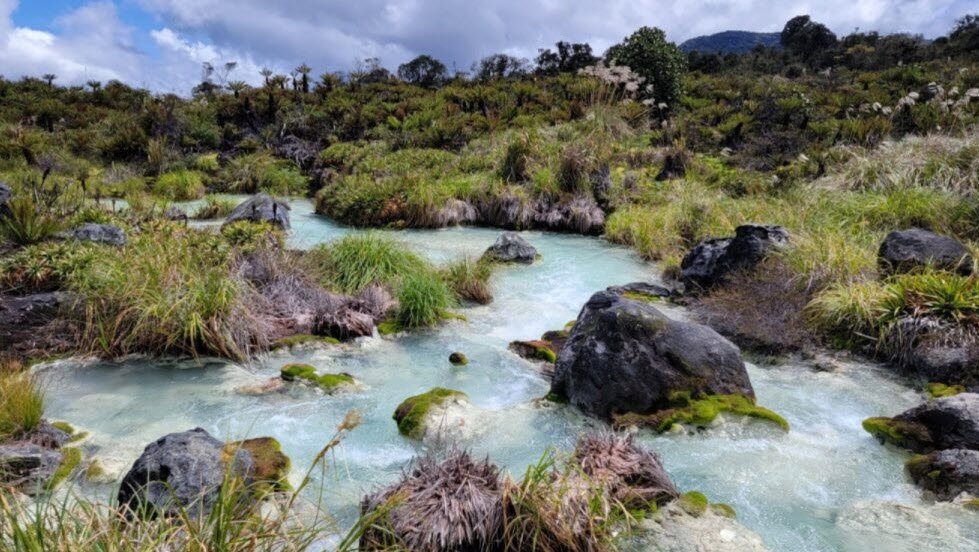 Puracé National Park, Cauca Department, Colombia